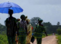 Casamance : Le MFDC ordonne l’évacuation des civils dans plusieurs villages au Nord de la Casamance